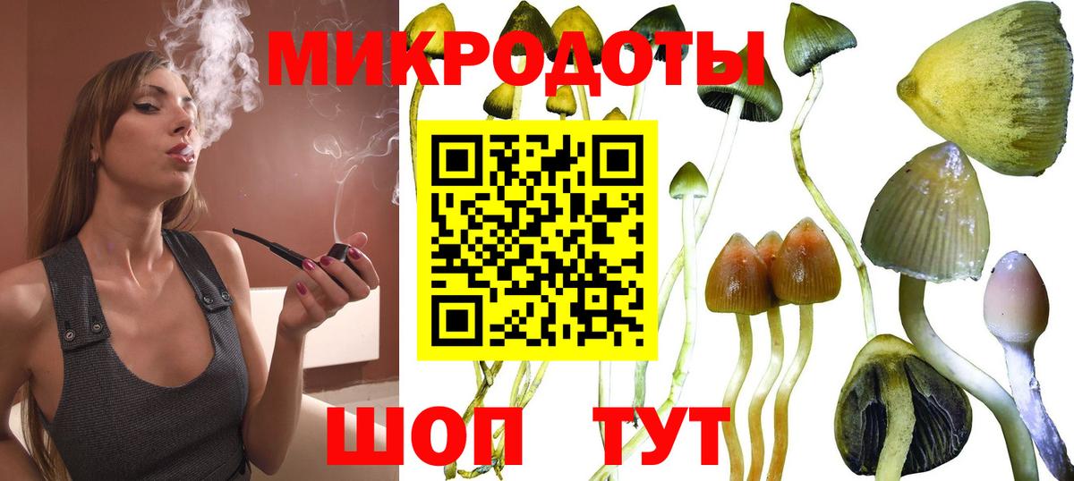 Псилоцибиновые грибы GOLDEN TEACHER Фролово