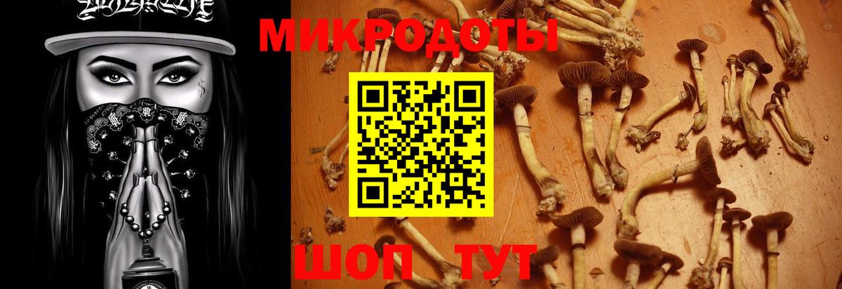 Фролово  Галлюциногенные грибы Psilocybe  Вход с VPN 